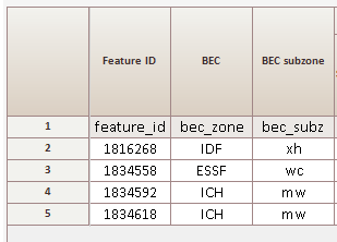 Introduction to Batch Tipsy Composer