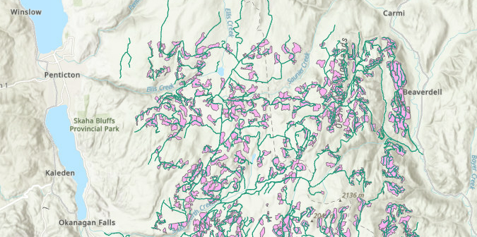 Map of forest tenure data filtered by bounding box